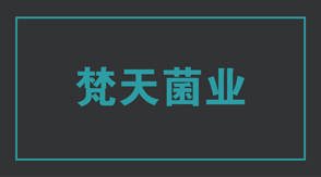 食品行业银川冲锋衣设计款式